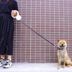Wholesale Dog Nylon Leash with LED Flashlight Automatic Extending Rope Safety Pet Leash Rope