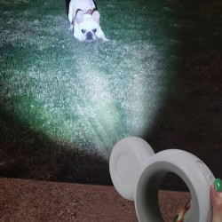 Wholesale Dog Nylon Leash with LED Flashlight Automatic Extending Rope Safety Pet Leash Rope