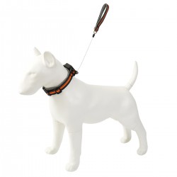 Dog Reflective Leash