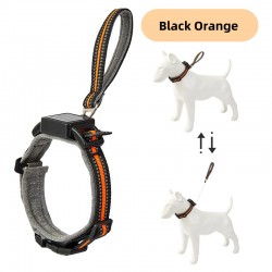 Reflective Leash