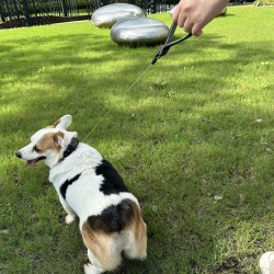 Custom Dog Reflective Leash