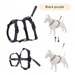 Polyester Pet Harness