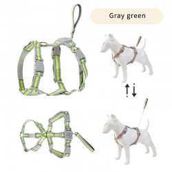 Pet Harness