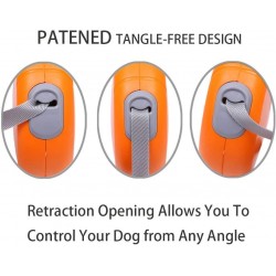 Roulette Leash