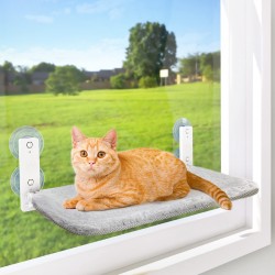Cat Hammock Wall Robust