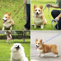 Pet Collar