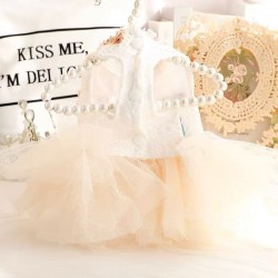 Princess Dress