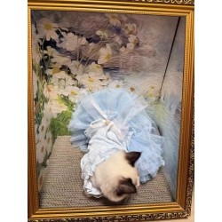 Pet Blue Leash Dress Spring/Summer Thin Dog Clothes, Cat Princess Dress with Waltz Style for Small Pets Wholesale