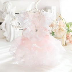 Spring Thin Dog Clothes
