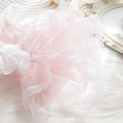 Dog Clothes