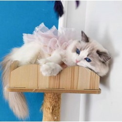 Spring Thin Dog Clothes Cat Princess Dress, High-End Customized Gown, Flesh Pink Lace for Small Dogs