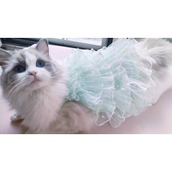 Cat Princess Bridal Dress Clothes Spring Summer Thin Lightweight Wedding Gown with Romantic Starry Sky Design