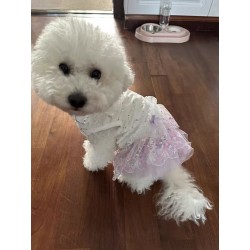 Purple Aesthetic Cat Dress with Embroidery Thin Princess Dress for Small Pets (Summer) and Dolls