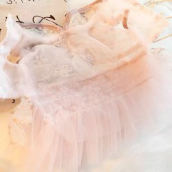 Pink Butterfly Cat Dress with Embroidery Thin Princess Dress for Small Pets (Summer) and Dolls with Leash Design