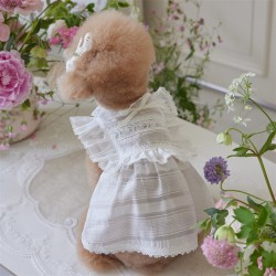 Dog Cute Dress