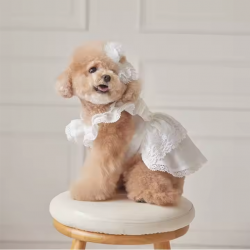 Summer Dog Cute Dress