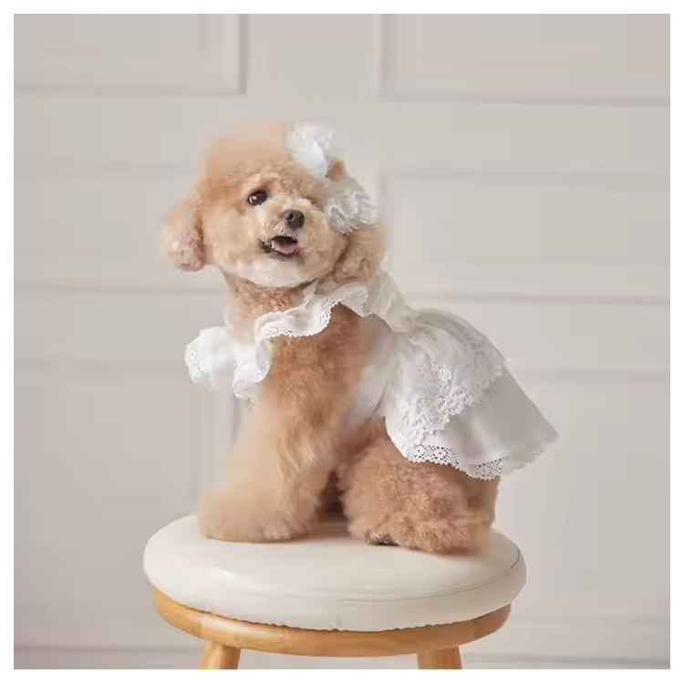 Summer Dog Cute Dress Summer Dog Cute Dress