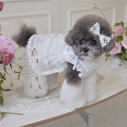 Cute Dress