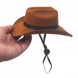 Cowboy Cat Hat