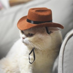 Custom Cowboy Cat Hat ,Bandana Collar Set | Cool Cat Dog Costume Prop, Funny Halloween Christmas Party Accessory