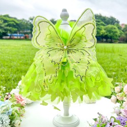 Princess Dress