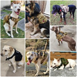 Custom Dog Tactical Vest | Outdoor Training Harness with Leash | Waterproof, Reflective | for Large Breeds