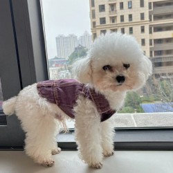 Cute Pet Denim Vest Washed Cotton Bimi Teddy Trendy Clothes Dog Coat
