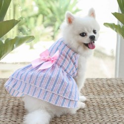 Wholesale Cat Summer Dresses