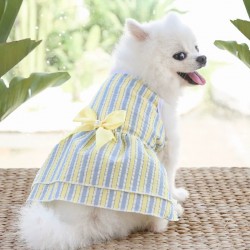 Cat Summer Dresses
