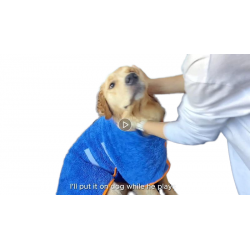 Pet Bathrobe Wrap Waist Bathrobe Towel Hot Sale Microfiber Cute Hoodies Polyester Dogs Winter Print Cat and Dog Warm