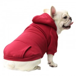Cotton Hoodie