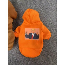 Sweater Hoodie