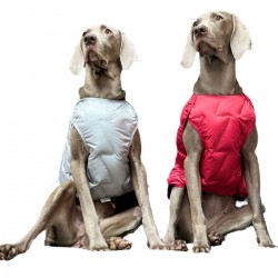 Winter Cotton Jacket