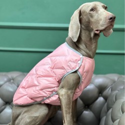 Cotton Jacket