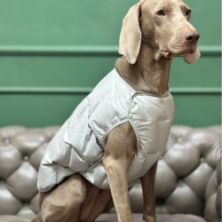 Dog Winter Cotton Jacket Windproof Double-sided Autumn and Winter Dog and Cat Clothes Vest Dog Down Jacket