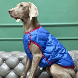 Dog Winter Cotton Jacket Windproof Double-sided Autumn and Winter Dog and Cat Clothes Vest Dog Down Jacket