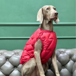 Dog Winter Cotton Jacket Windproof Double-sided Autumn and Winter Dog and Cat Clothes Vest Dog Down Jacket