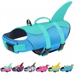 Life Jacket