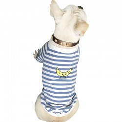 Custom Dog Embroider Hoodie Spring and Winter Fashion Family Dog Clothing Male and Female Parents Kitten Hoodie