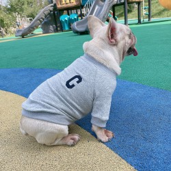 Custom Round Neck Hoodie Wool Circle Cotton Pet Clothes Simple Letter Embroidery Dog Clothing Pet Parent-child Clothing