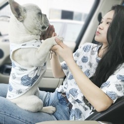 Summer Pet Cool Clothing