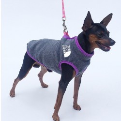 Custom Dog Clothes Autumn and Winter New Sweater Leggings Pet Products for Small and Medium-sized Dogs
