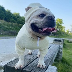 Custom Pet Shirt Suit Trendy Brand Dog Clothes Bottoming Polyester Fashion Solid Winter Products