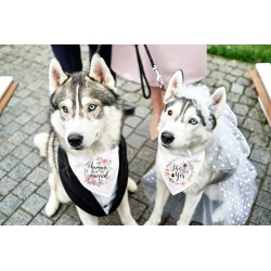 Wholesale Dog Bandana Scarf Humans Are Getting Married Low Price Dog Bandana Pet Scarf Pet Accessories