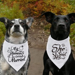 Wholesale Dog Bandana Scarf Humans Are Getting Married Low Price Dog Bandana Pet Scarf Pet Accessories