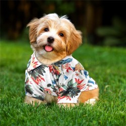 Professional Beach Cat Sweatshirt for Puppy T-Shirts Hawaii Style Floral Dog Shirt Clothes in Summer Pet Accessories