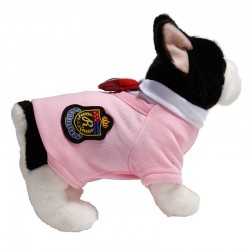 Wholesale Pet Student Uniform Campus Style Pet Dog Couple Wear Student Wear