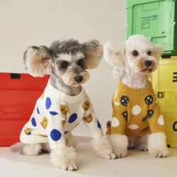 Fashion Sweater