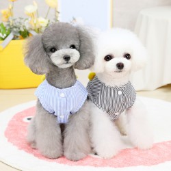 Summer Dog Shirts