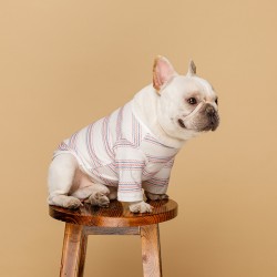 Portable Dog Breathable T-Shirt